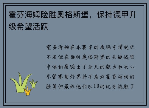 霍芬海姆险胜奥格斯堡，保持德甲升级希望活跃