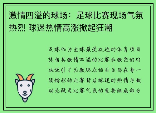激情四溢的球场：足球比赛现场气氛热烈 球迷热情高涨掀起狂潮