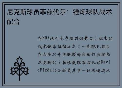 尼克斯球员菲兹代尔：锤炼球队战术配合