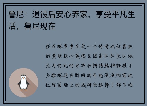 鲁尼：退役后安心养家，享受平凡生活，鲁尼现在
